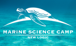 Marine Science Camp | Ages 5-13