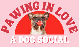 Pawing In Love A Dog Social | All Ages